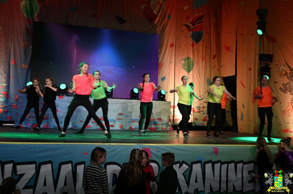 ../Images/Dansmarieke festival 2024 257.jpg